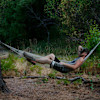 Hammock & Pines