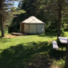 Yurt in the Pines
