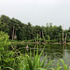 Rock Hill Campsite