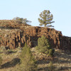 Site 2 - Bologna Creek Ranch