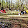 Woodland Retreat