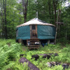 20' yurt at the creek
