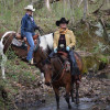 Campsites on Horse Ranch with Creek