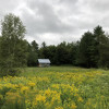 Wildflower Meadow - Off-Grid Cabin