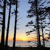 Wild Coast Lookout