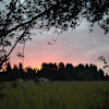 Summer bliss on the farm #1