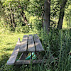 Songdog Meadows