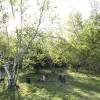 Birch Camp