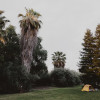 Camping at The Olive Ranch