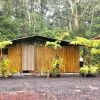 Luxury  Bamboo Camp