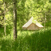 Bell tent In the Aspen