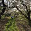 Hidden Acres Orchards