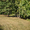 Creekacabana (Camp, Fish, Swim)