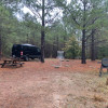 Site 3 - BlackBerry Pines Disc & Camp