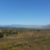 Cuyama Valley View