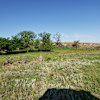 Jug Spring