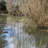 Pond Site 5