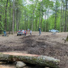 Forest Glade on Beartrail Ridge