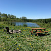Spring Pond Campsite