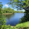 Site 5 - Floodwood Campground