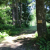 Wilderness Path creek camp