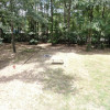 Forested, Next to Lake Conroe!