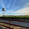 Winery camping