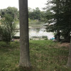 Pine Lake Retreat #2