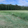May Meadows Site - Hidden Meadow