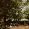 Forest Magic Campsites w/Perks
