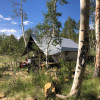 Bearly Rustic Camping