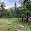 Edge of the Rez