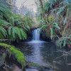 Hidden waterfall and creek