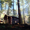 Norwegian Forest Cabin