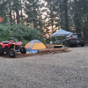 Camping at Carsner Tree Farm