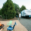Coastal Camping in the Pines