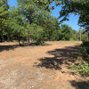 Post oak and red dirt camp site