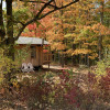 Cabin in the Woods - ZiegenVine