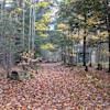 Wilderness Camping Upper Michigan!