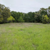 Meadow Site