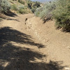 High Desert, Pinon Hills CA