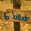 Site 6 Solitude