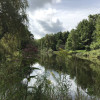 Private Forest by a Wildlife Pond