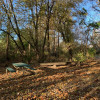Creek Campsite - Rancho Comienzo