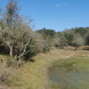 Central Texas Hill Country