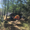 Site 4 - Lost Woods Campground