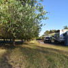 Olive Hill Farm RV Campground