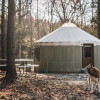 20 foot Yurt in Raleigh/2