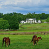 Classic Kentucky Horse Farm