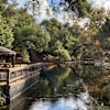 Bohemian Glamping Experience